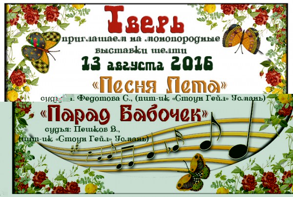 leto-2016.jpg