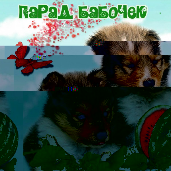магнитик 2016.jpg