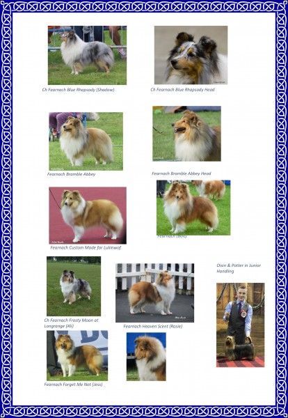 Fearnach Shetland Sheepdogs (1)-2.jpg