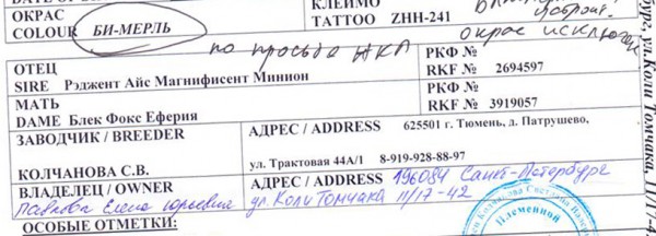 бимерль окрас - исключён по просьбе НКП2017.jpg