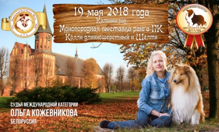 Объявление о выставке май 2018веб.jpg