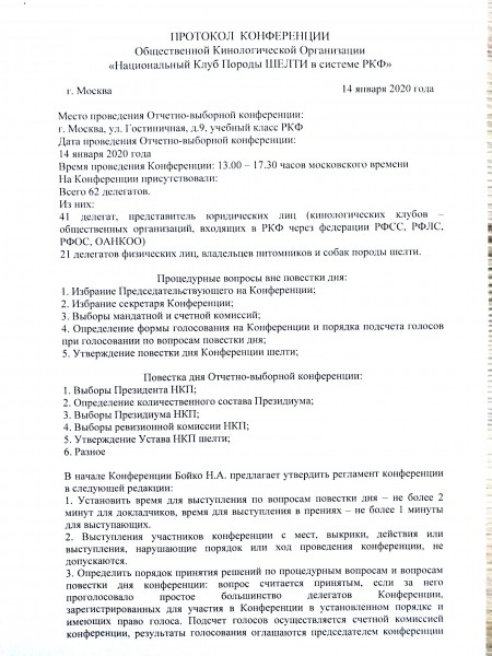 протокол_155226.jpg