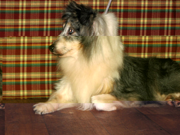 2893ea1cecce21bcd6b01024aef6e9aa.jpg