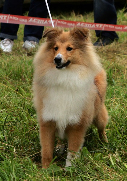IMG_1726сайт.jpg