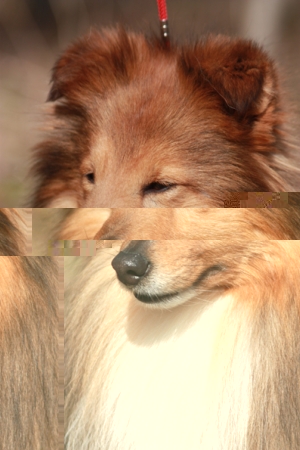 4431.jpg