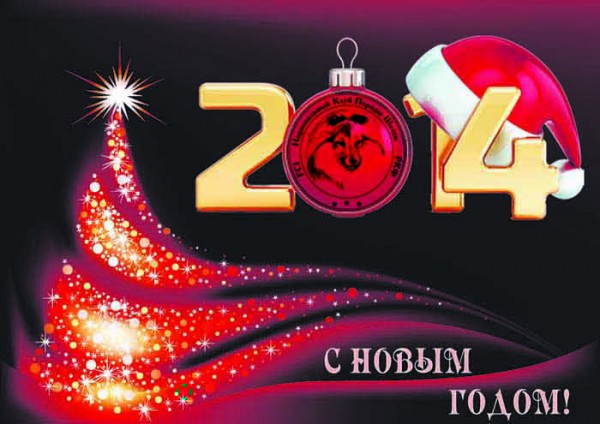 nov_god2014-knp.jpg