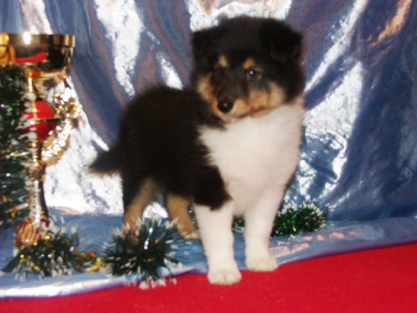 PICT0253.JPG