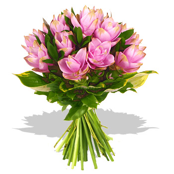 Marks-and-Spencer-Flowers-10.jpg