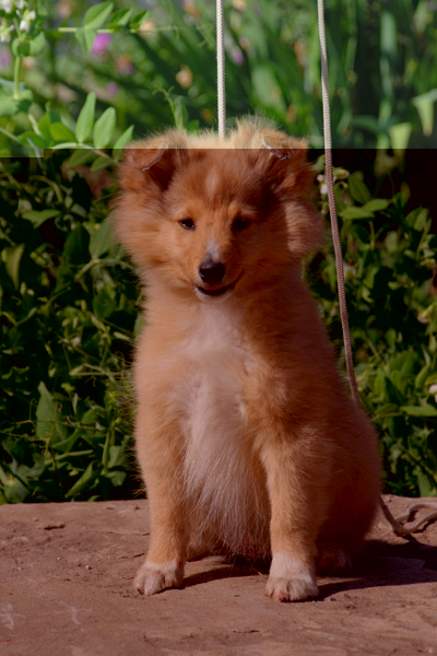 DSC_0045.jpg