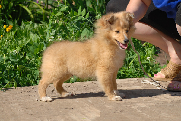 DSC_0052.jpg