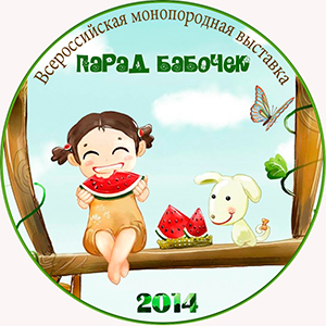 серединка для результ.jpg