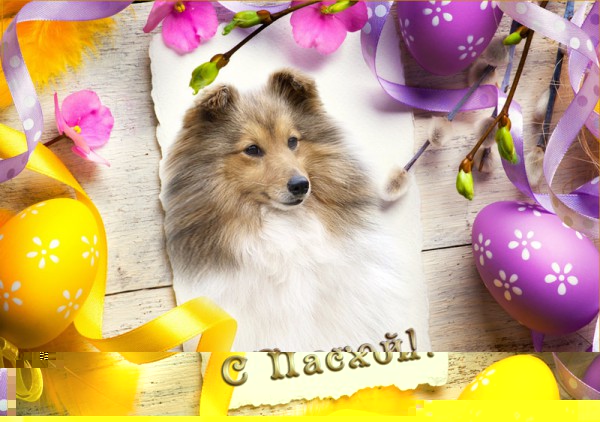 с пасхой 2015.jpg