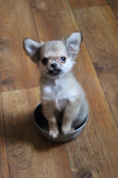 photofacefun_com_1449663246.jpg