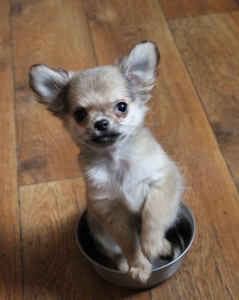 photofacefun_com_1449663663.jpg