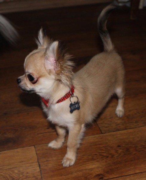 photofacefun_com_1454067097.jpg